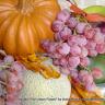 Autumn Tradition